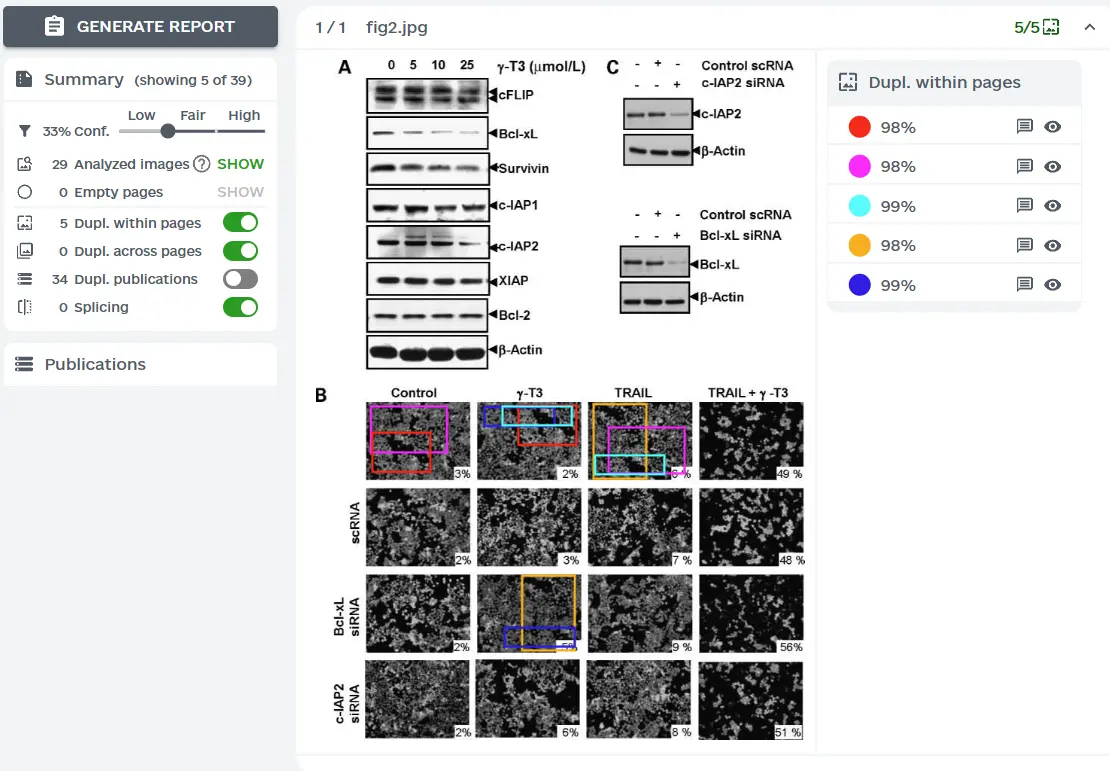 Image Analysis AI - Hero