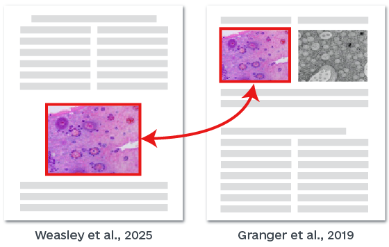 Image Analysis AI - Plagiarism Detection