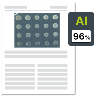Image Analysis AI_AI-Generated Image Detection